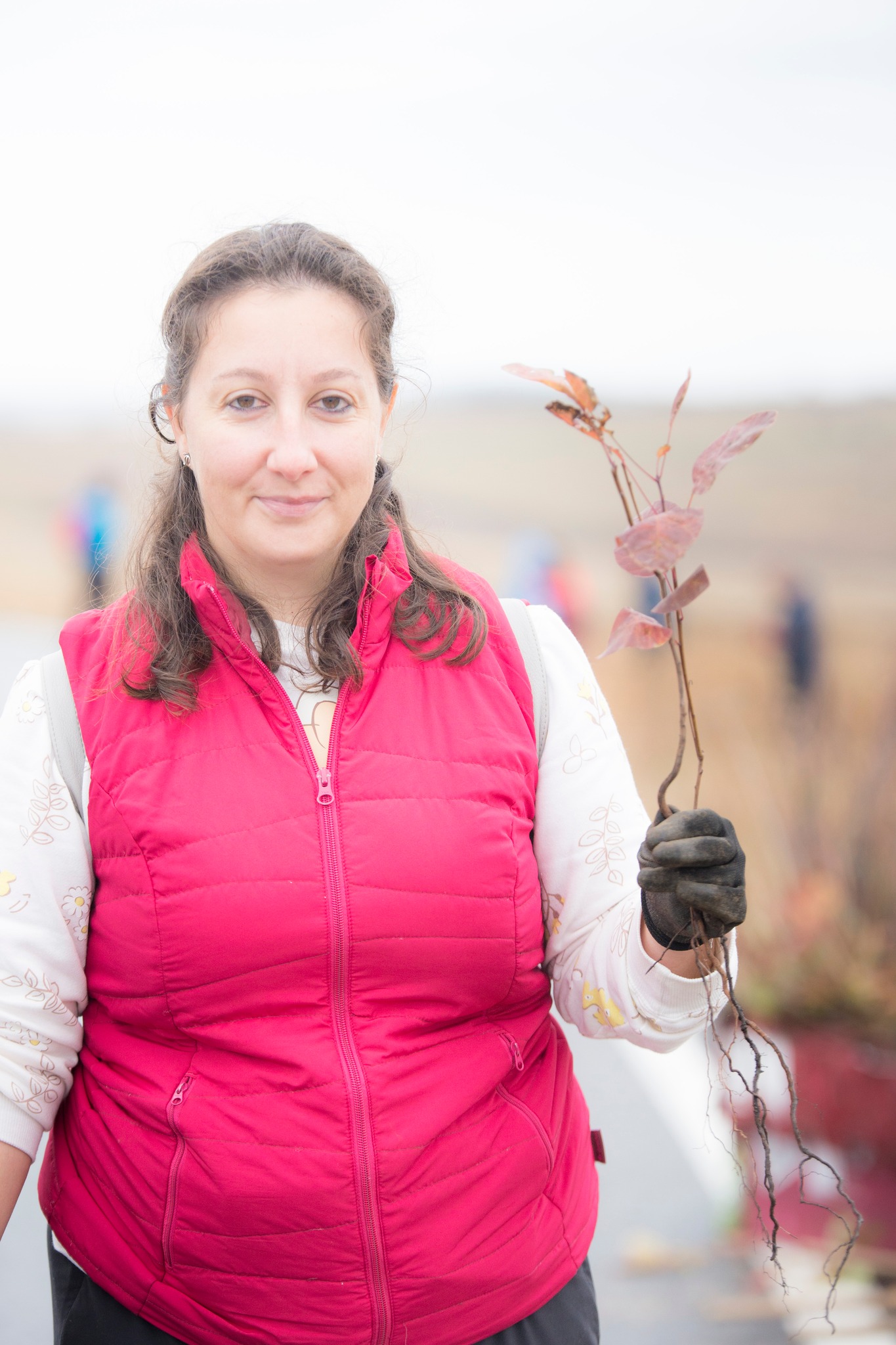 Plantare Ocna Sibiului 24